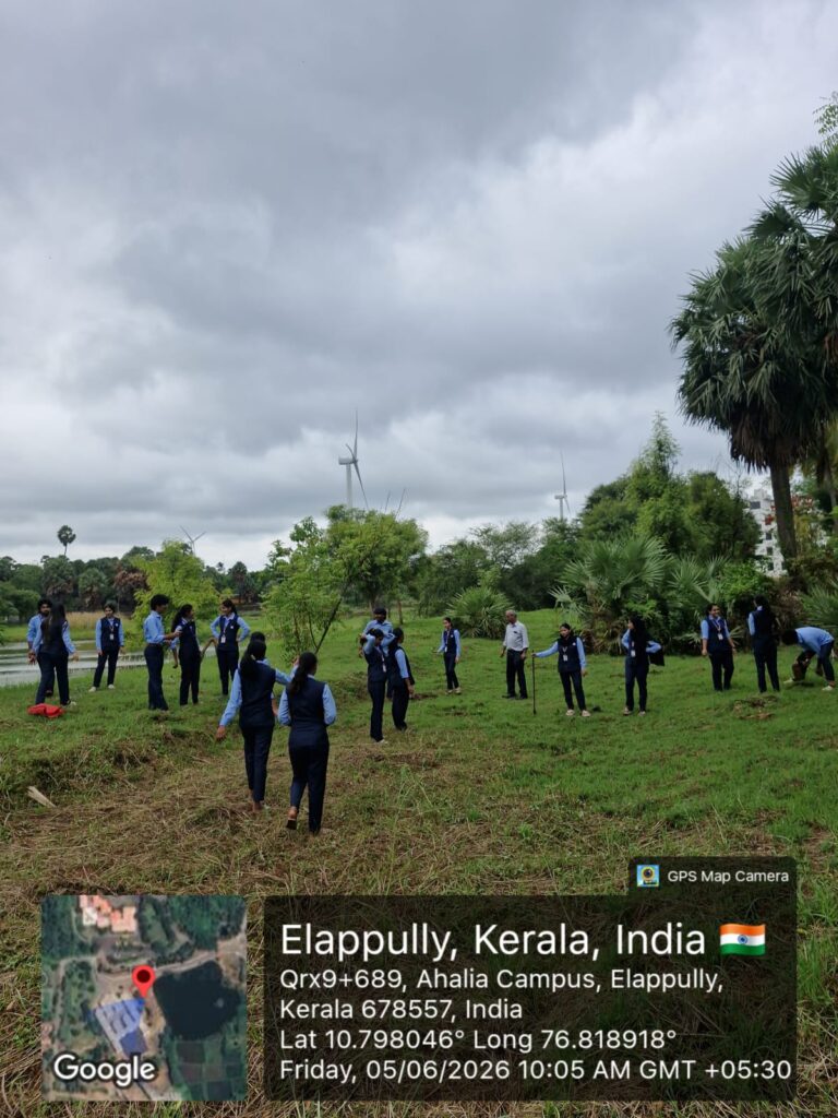 Image gallery image
