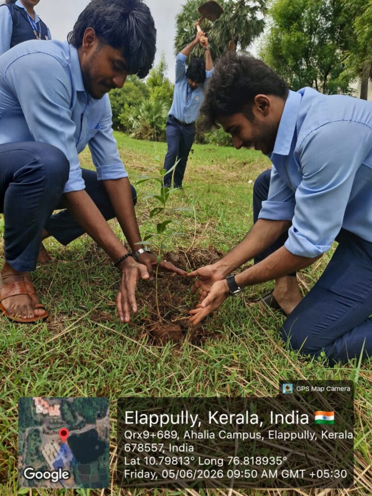 Image gallery image