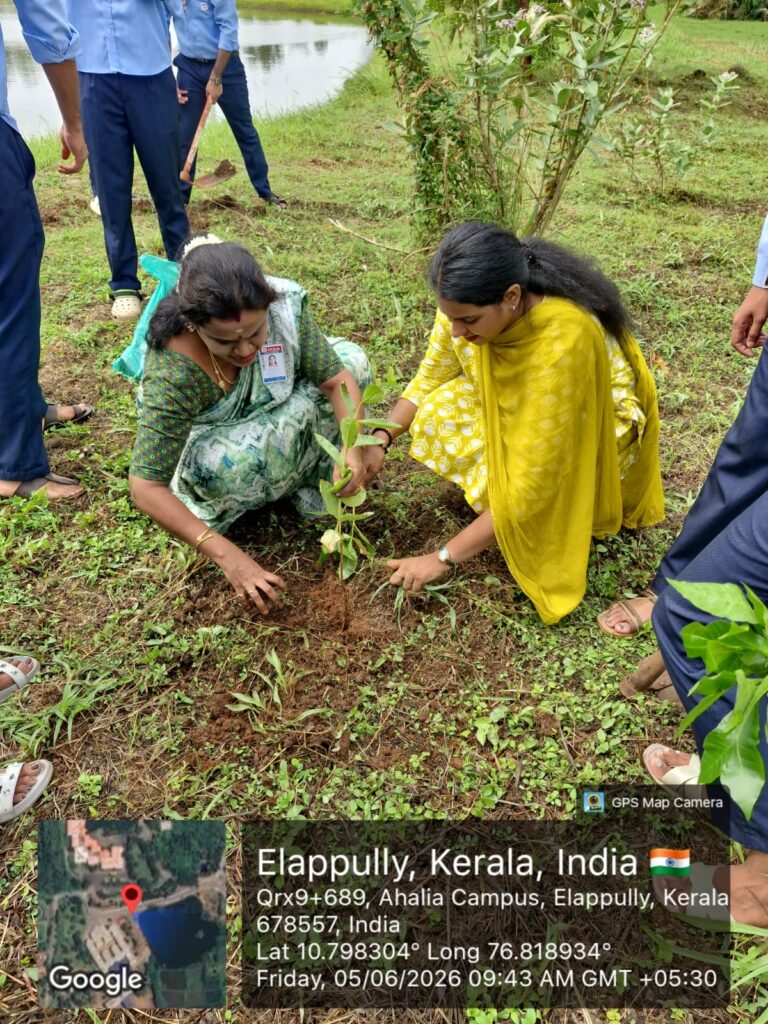 Image gallery image