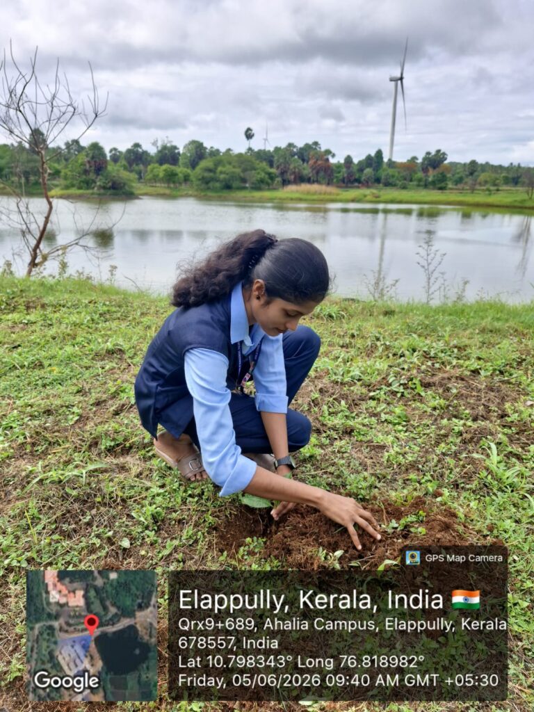 Image gallery image